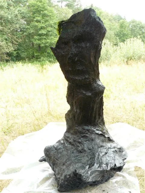 Спасение Белорусского Идола