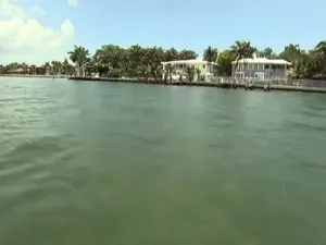 В США продают дома за $10 тысяч и ниже