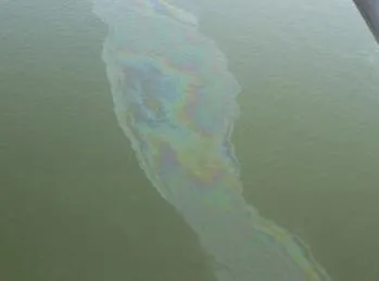 Метастазы Мексиканского залива. Часть 11-4