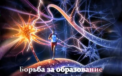 Борьба за Образование [2011 г., Информационный]