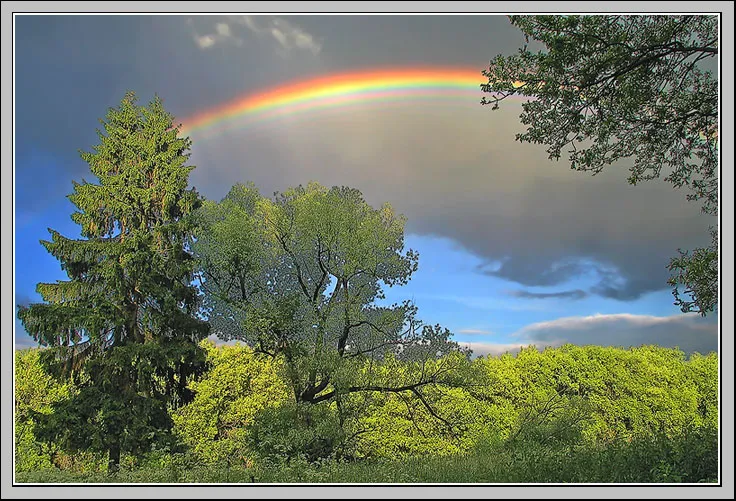 Прекрасные Имена (Качества) Всевышнего