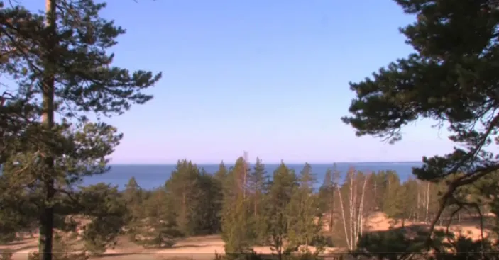 Сила Сердца. Владимир Антонов. ХА-тХА йога.