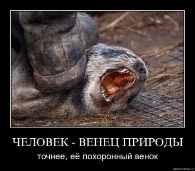 Места силы «темных» (тема не для слабо нервных)