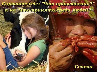 Места силы «темных» (тема не для слабо нервных)