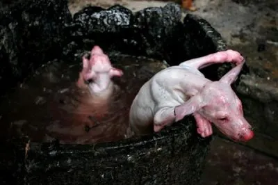 Места силы «темных» (тема не для слабо нервных)