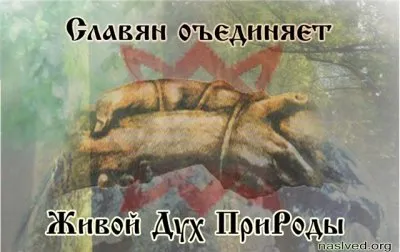 Для кого Славянство стало болезнью..