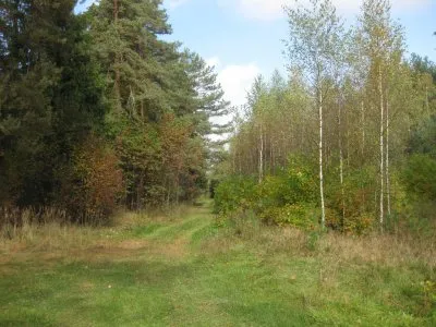 Выразители древнейшей мудрости