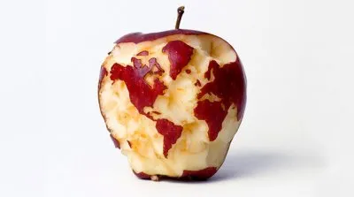 ООН докладывает: О вегетарианстве