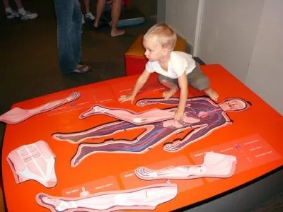 Израиль пытается узаконить вывоз(усыновление) русских детей на органы