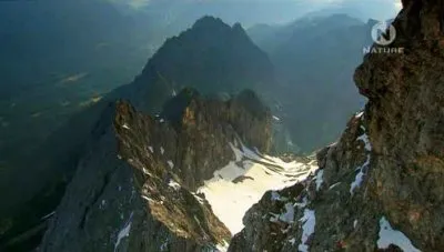 Волшебство гор. Австрия / Magic of the Mountains. Austria (2009) SATRip