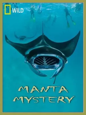 Тайна Морского Дьявола / Manta Mystery (2011) SATRip