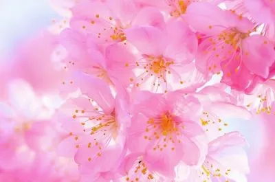 От сердца к сердцу. Беседы Учителя (3)