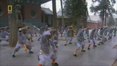 Китай. Корпорация Кунг-фу / Kung Fu Inc. (2009) HDRip