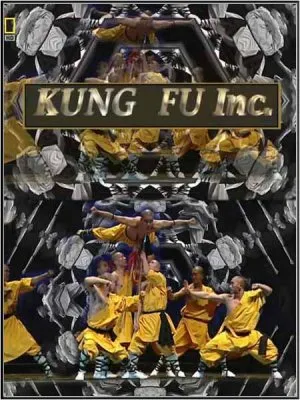 Китай. Корпорация Кунг-фу / Kung Fu Inc. (2009) HDRip