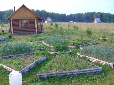 Обращение Будимира. Россиянский агитпроп и диктаторы