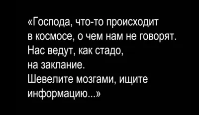 Здесь гадам не быть!