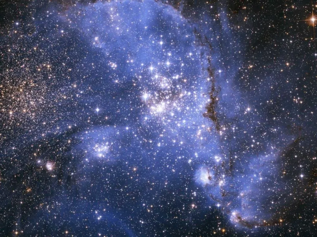 Всевышний познаётся разумом