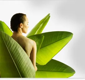 ВЕДИЧЕСКИЕ ОСНОВЫ ИСЦЕЛЕНИЯ ТРАВАМИ. ЧАСТЬ 2