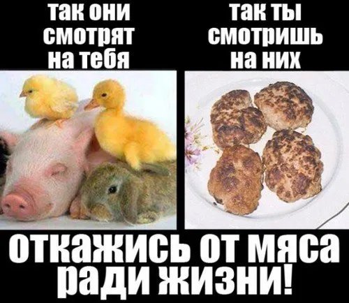 Истинные арийцы предпочитают «мамса»!