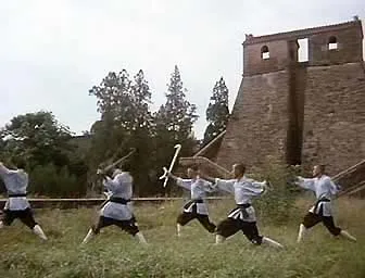 Тайное боевое искусство Шаолиня / Shao Lin zhen gong fu (1995) VHSRip
