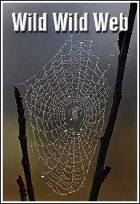 Дикая дикая паутина / Wild Wild Web  (2003)  SATRip