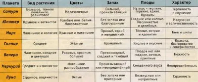 ВЕДИЧЕСКИЕ ОСНОВЫ ИСЦЕЛЕНИЯ ТРАВАМИ. ЧАСТЬ 2