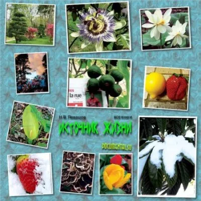 "Источник Жизни". Часть 10. Вперёд в будущее (2010-2011 г.)