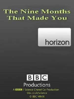 BBC: Горизонт. Девять судьбоносных месяцев / Horizon: The Nine Months That Made You (2011) PDTVRip
