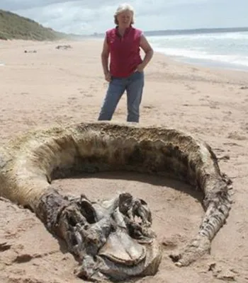 Чудовище на Шотландском берегу