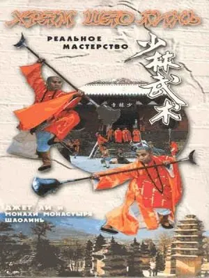 Тайное боевое искусство Шаолиня / Shao Lin zhen gong fu (1995) VHSRip