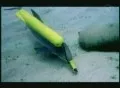 Тайны века. Меньшие братья по оружию (2004) DVDRip