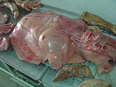 Закон о распиле детей на органы