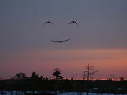 Тео-логика - логическое расследование сущности бытия и Бога