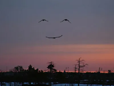 Тео-логика - логическое расследование сущности бытия и Бога