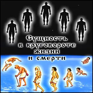 Сущность в круговороте жизни и смерти