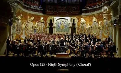 В поисках Бетховена / In Search of Beethoven (2008) SATRip