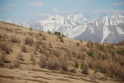 Алтай глазами Михаила Задорнова