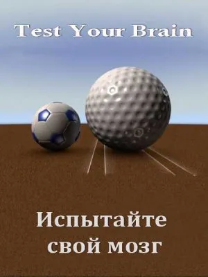 Испытайте свой мозг / Test Your Brain (2011) SATRip