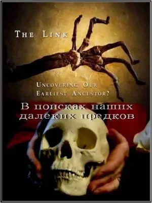 Недостающее звено. В поисках наших далеких предков / Uncovering Our Earliest Ancestor (2010) SATRip