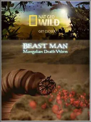 По следам мифических чудовищ. Монгольский червь смерти / Beast man. Mongolian Death Worm (2010) HDTV