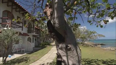 Высший класс. Ямайка / World Class. Jamaica (2010) HDTV