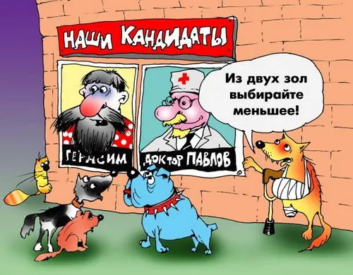 Конституция и Выборы
