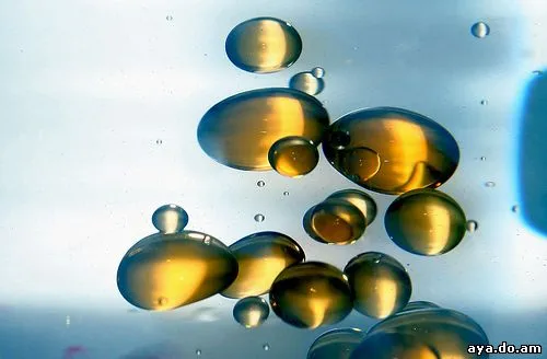 Эта наша Земля!