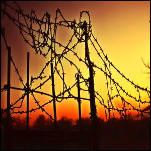 Кровавый закат финансового фашизма