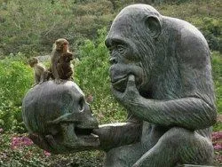 Происхождение и эволюция боевой биомассы