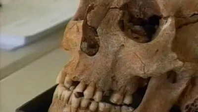 Малый ледниковый период / The Little Ice Age (2006) SATRip