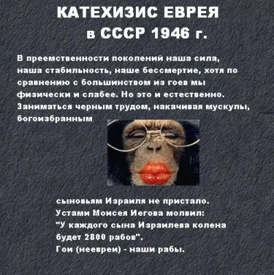 Алексей Дымовский на НТВ 13.11.11г.