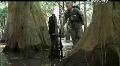 Пешком по Амазонке: От Бразилии до Атлантики / Walking the Amazon (2011) SATRip