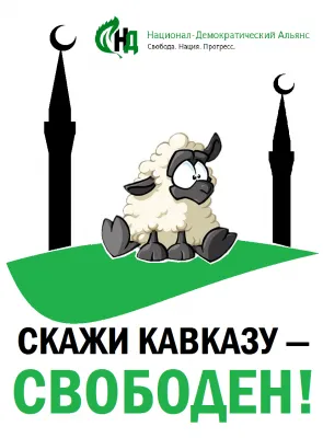 Выступление Алексея Широпаева (видео)