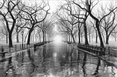 Оковы страха